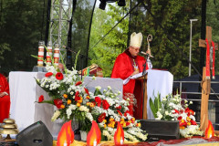 Obraz00106