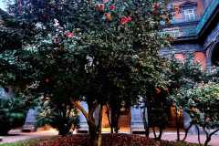 IMG-20240225-WA0008