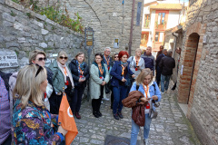 IMG20240218115656