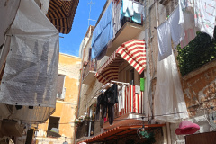 IMG20240220112504