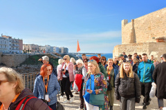 IMG20240221145234
